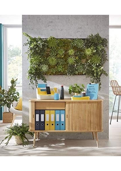 Cosy Mybox® Kulplu Geniş Düzenleme Aparatı