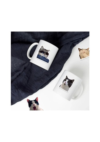 Çılgın Kediler Macbook Notebook Tablet Telefon Ajanda Laptop Defter Sticker Seti
