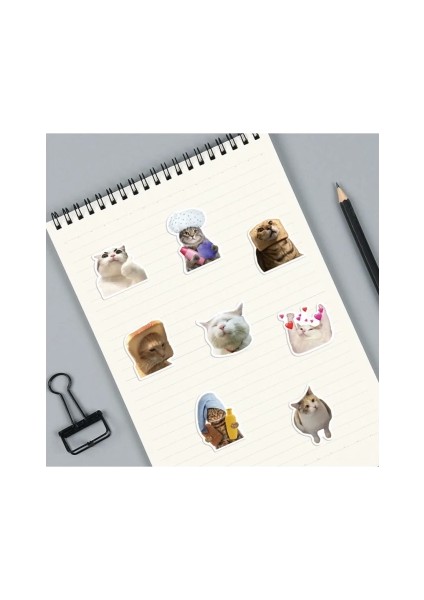 Çılgın Kediler Macbook Notebook Tablet Telefon Ajanda Laptop Defter Sticker Seti