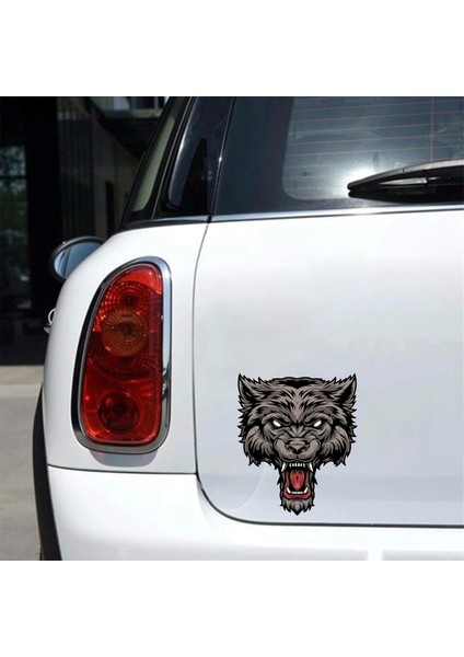 Bozkurt Sticker 10X10 Cmrenkli Sticker fiyatları