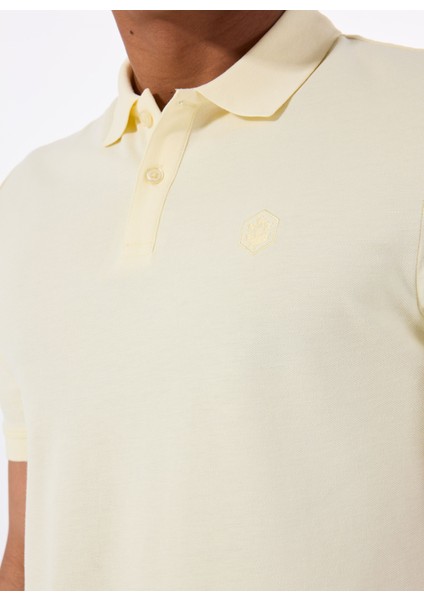 A10193952008010-MB CT953 Polo T-Sh Sarı Regular Fit Düz Erkek T-Shirt fırsatları