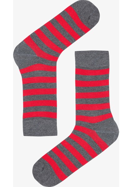 Erkek Green Stripe 3lü Çok Renkli Soket Çorap