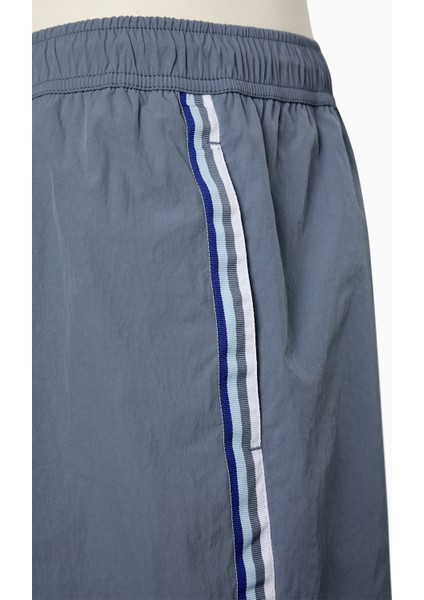 Gri Stripe Detail Çizgili Erkek Şort Mayo