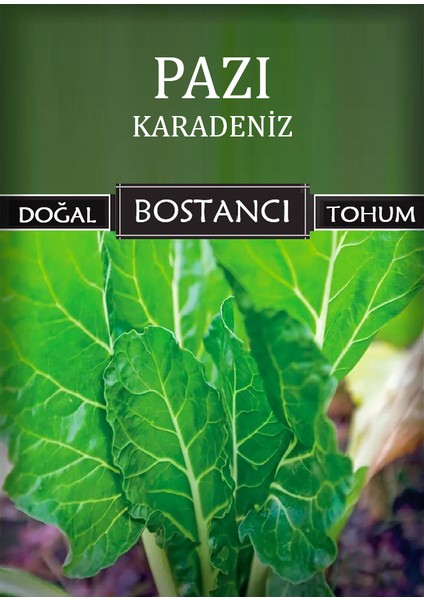 Yerli Pazı Tohumu Doğal Yerli Karadeniz Pazı Tohumu