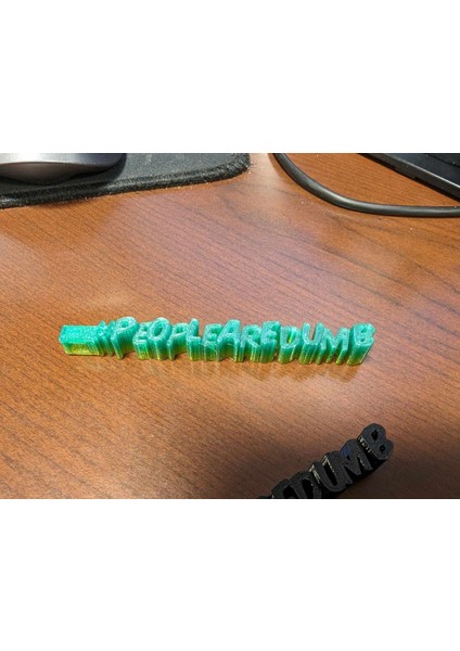 #peoplearedumb Keychain (Plastik Aparattır!!!)