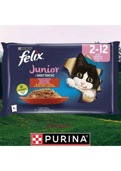 4'lü Yavru Kedi Maması 4X85 Gr. Pouch