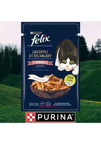 Lezzetli Et Dilimleri 85 Gr. (Somonlu)