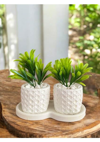 Tasarım Hazeran Desenli 3lü Dekoratif Minik Beton Sukulent Saksısı, Hazeran Saksı, Çiçeksizdir, 7x8 cm