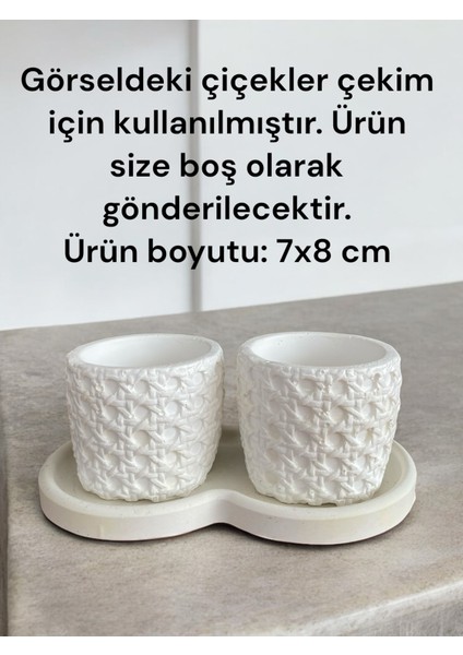Tasarım Hazeran Desenli 3lü Dekoratif Minik Beton Sukulent Saksısı, Hazeran Saksı, Çiçeksizdir, 7x8 cm modelleri