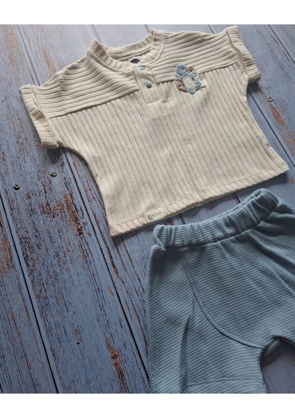Erkek Bebek Kaplumbağa Nakışlı Tişört ve Mavi Şort Takım fırsatları