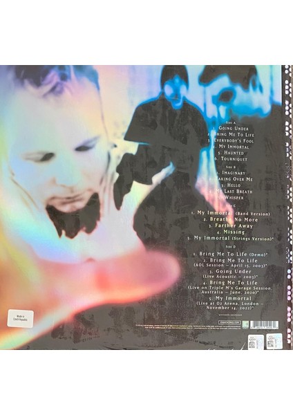 20TH Anniversary Evanescence Fallen (2 Plak)