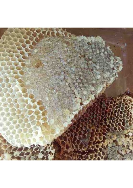 Artvin Kara Kovan Dalak Balı 1 kg