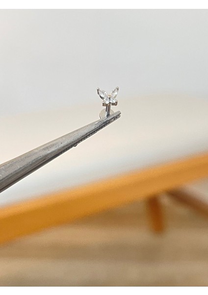 316 L Cerrahi Çelik Zirkon Taşlı Kelebek Modeli Conch Kıkırdak Helix Dudak Tragus Piercingi