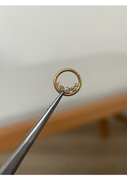 316 L Cerrahi Çelik 5 Taş Detaylı Halka Kıkırdak Helix Tragus Piercingi fiyatları