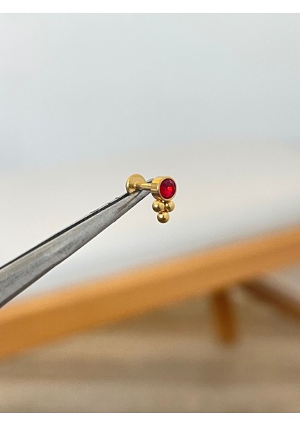 316 L Cerrahi Çelik Kırmızı Zirkontaşlı Conch Kıkırdak Helix Dudak Tragus Piercingi