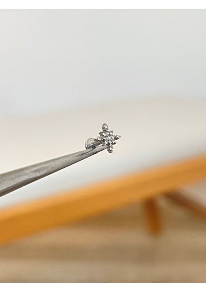 316 L Cerrahi Çelik Zirkon Taşlı Kutup Yıldızı Modeli Conch Kıkırdak Helix Dudak Tragus Piercingi
