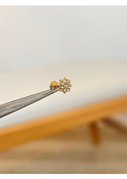 316 L Cerrahi Çelik Güneş Modeli Zirkon Taşlı Kıkırdak Dudak Helix Tragus Piercingi