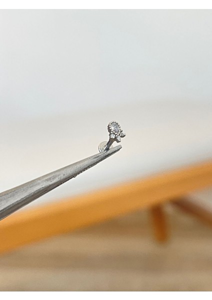 316 L Cerrahi Çelik Taç Modeli Zirkon Taşlı Kıkırdak Helix Dudak Tragus Piercingi