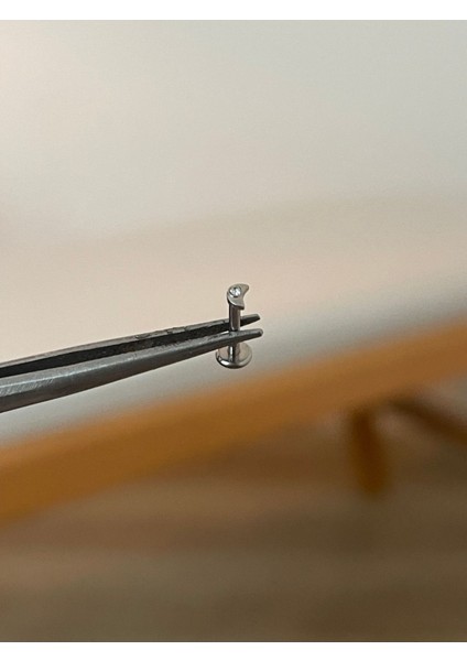 316 L Cerrahi Çelik Ay Modeli Zirkon Taş Detaylı Gold Tragus Helix Kıkırdak Piercingi