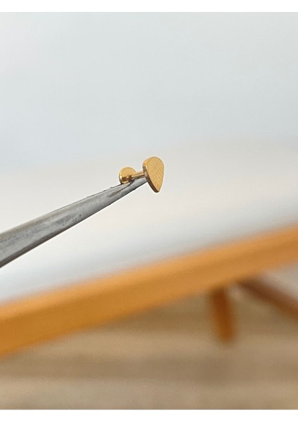 316 L Cerrahi Çelik Damla Model Conch Kıkırdak Helix Dudak Tragus Piercingi