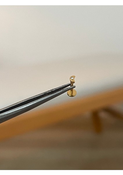 316 L Cerrahi Çelik Ay Modeli Zirkon Taş Detaylı Gold Tragus Helix Kıkırdak Piercingi