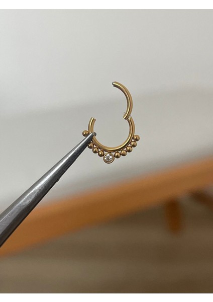 316 L Cerrahi Çelik Zirkon Taş Detaylı Halka Kıkırdak Helix Tragus Piercingi fiyatları