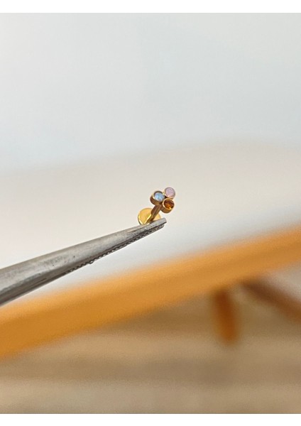 316 L Cerrahi Çelik 3 Taşlı Conch Kıkırdak Helix Dudak Tragus Piercingi
