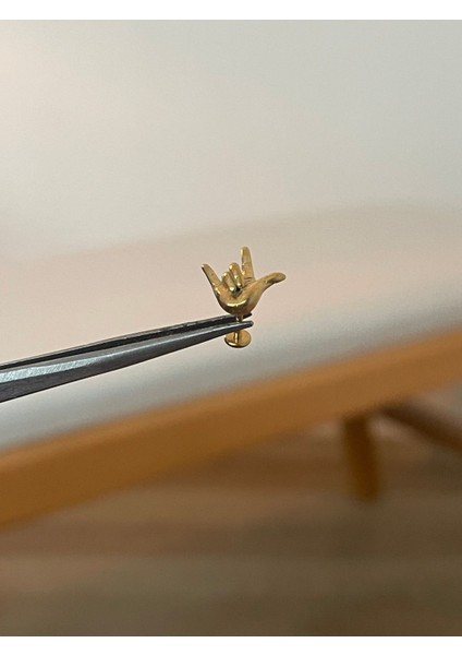 316 L Cerrahi Çelik Dudak Kıkırdak Helix Tragus Piercingi El Detaylı Detaylı Piercing