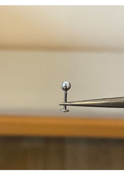 316 L Cerrahi Çelik Pençe Modeli Doğal Taşlı Kıkırdak Helix Tragus Piercingi