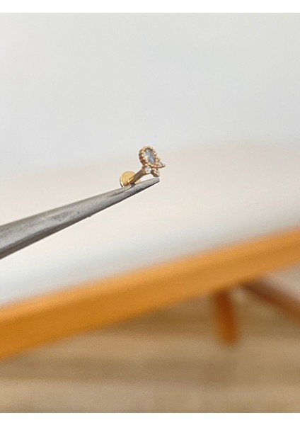 316 L Cerrahi Çelik Taç Modeli Zirkon Taşlı Kıkırdak Helix Dudak Tragus Piercingi