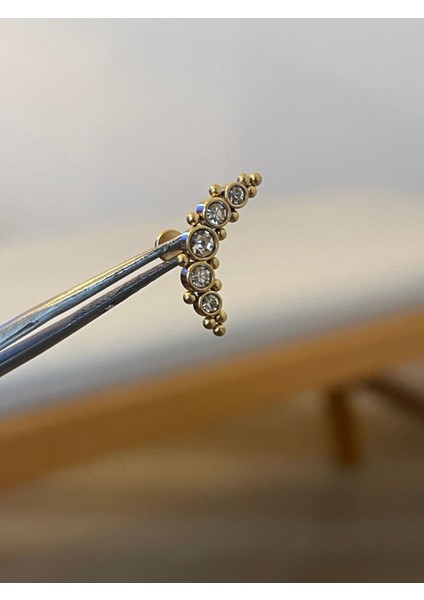 316 L Cerrahi Çelik Zirkon Taşlı Gold Conch Kıkırdak Helix Tragus Piercingi