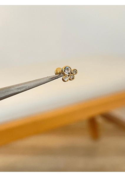316 L Cerrahi Çelik Zirkon Taşlı Gold Conch Kıkırdak Dudak Helix Tragus Piercingi