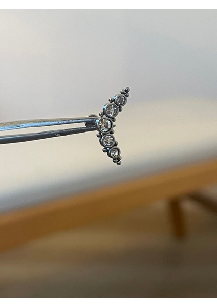 316 L Cerrahi Çelik Zirkon Taşlı Gümüş Conch Kıkırdak Helix Tragus Piercingi