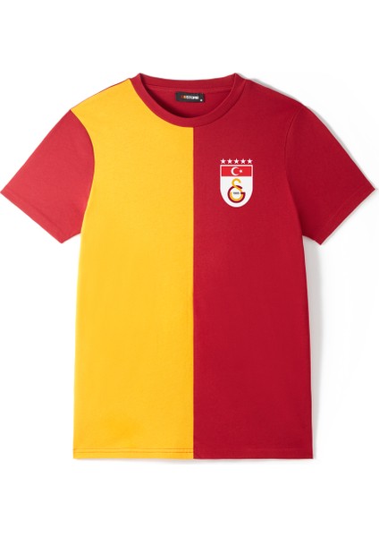 Galatasaray Parçalı 5 Yıldızlı T-Shirt E251440 fırsatları
