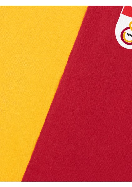 Galatasaray Parçalı 5 Yıldızlı Çocuk T-Shirt C251440