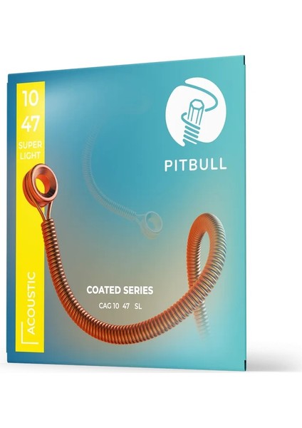 Coated Seri Akustik Gitar Teli Cag 10-47 Sl 3p Csw fiyatları