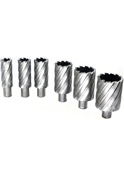12 mm Weldon Sap Manyetik Matkap Ucu 55 mm Derinlik
