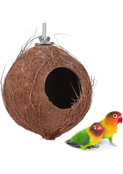 Trendme Hindistan Cevizi Kuş Yuvalığı (Büyük Boy)