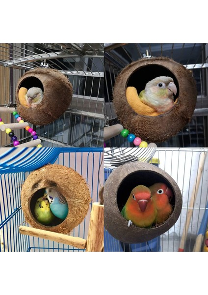 Trendme Hindistan Cevizi Kuş Yuvalığı (Büyük Boy) modelleri