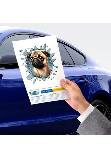 Büro Ev Ofis Arabası Için 10X10CM Tekli Araç Dışı French Bulldog Oto Cam Stickerı modelleri