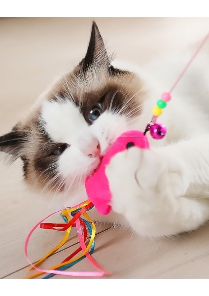 Balıklı Kedi Oyun Oltası