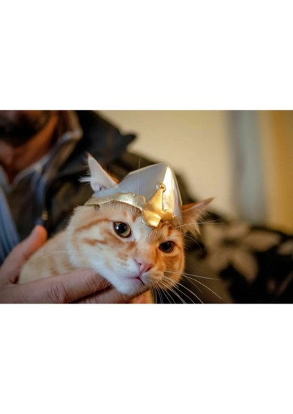 Orta Çağ Zırhlı Kedi Figürü – Kasklı Tasarım