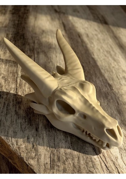 Ejderha Kafatası 3D Baskı Dekoratif Figür