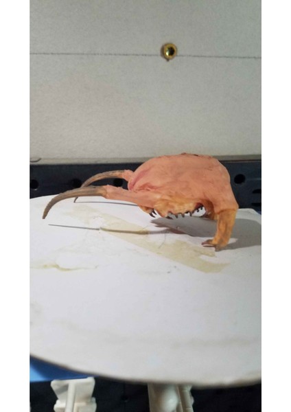 Half-Life Headcrab – 3D Baskı Korku Temalı Figür fiyatları