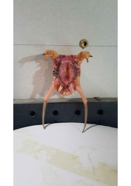 Half-Life Headcrab – 3D Baskı Korku Temalı Figür modelleri