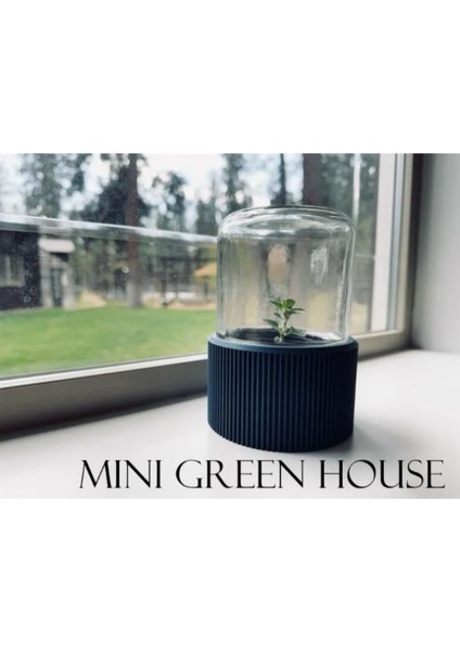 Mini Mason Kavanoz Serası – Hobi Bahçeciliği Için