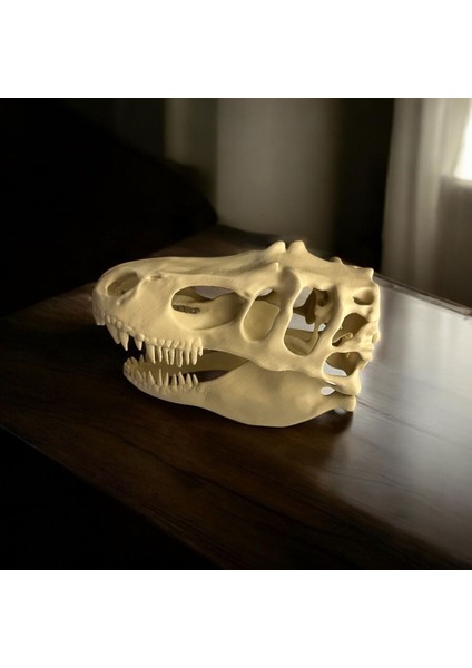 T-Rex Kafatası – Özel Tasarım Koleksiyon Figürü