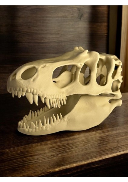 T-Rex Kafatası – Özel Tasarım Koleksiyon Figürü