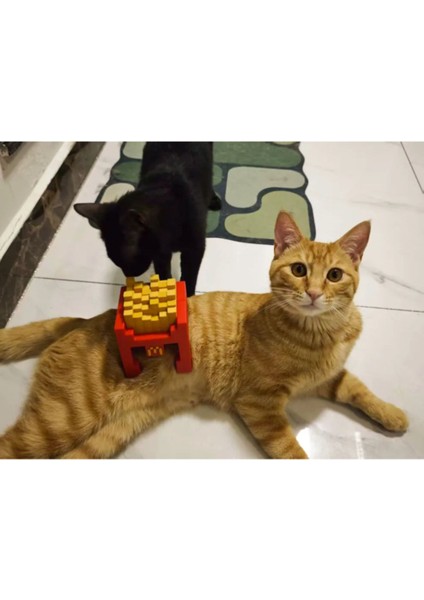 Patates Kızartması Kaskı – Kedi Için Komik Tasarım