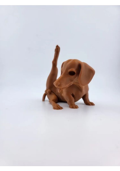 Sevimli Dachshund Minyatür Süs Köpeği
